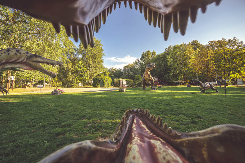 Polana dinozaurów - Kompleks Rekreacyjno-Przyrodniczy Rzęsa