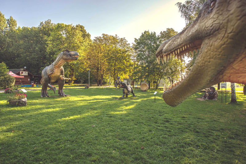 Polana dinozaurów - Kompleks Rekreacyjno-Przyrodniczy Rzęsa